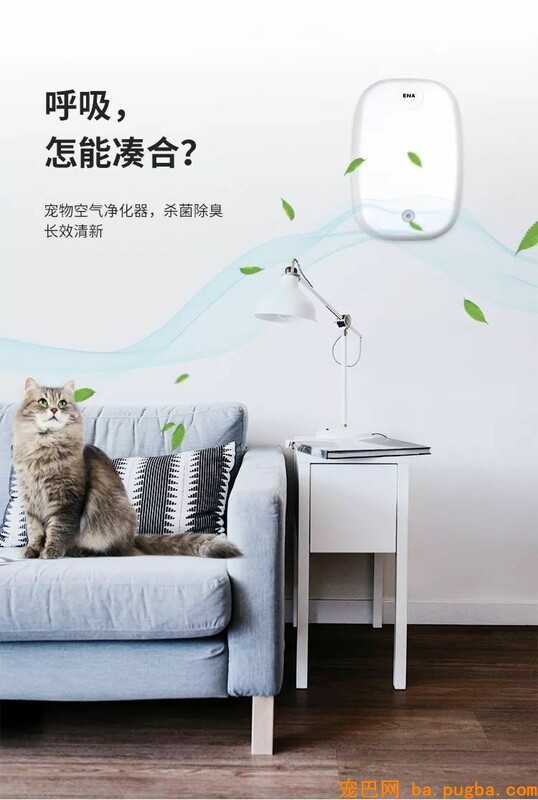 养了宠物你还想安静沉着僻静的上厕所？做梦！-20.jpeg