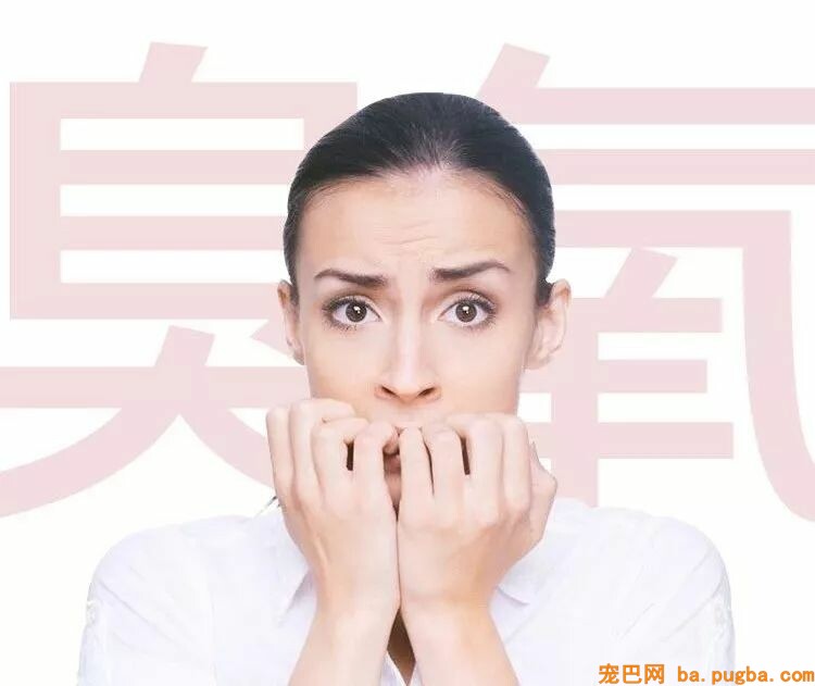 养了宠物你还想安静沉着僻静的上厕所？做梦！-19.jpeg