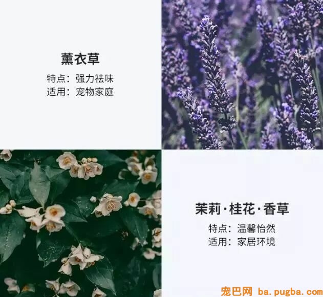 养了宠物你还想安静沉着僻静的上厕所？做梦！-26.jpeg