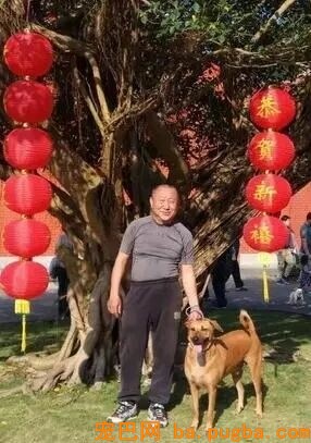 让爸爸辅佐赐顾帮衬几天狗，成果从不发微信的他……-1.jpeg