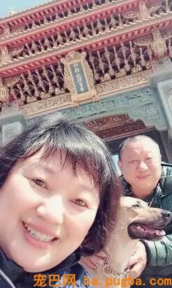 让爸爸辅佐赐顾帮衬几天狗，成果从不发微信的他……-6.jpeg
