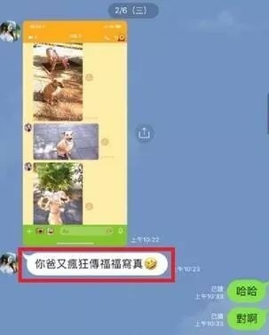 让爸爸辅佐赐顾帮衬几天狗，成果从不发微信的他……-4.jpeg