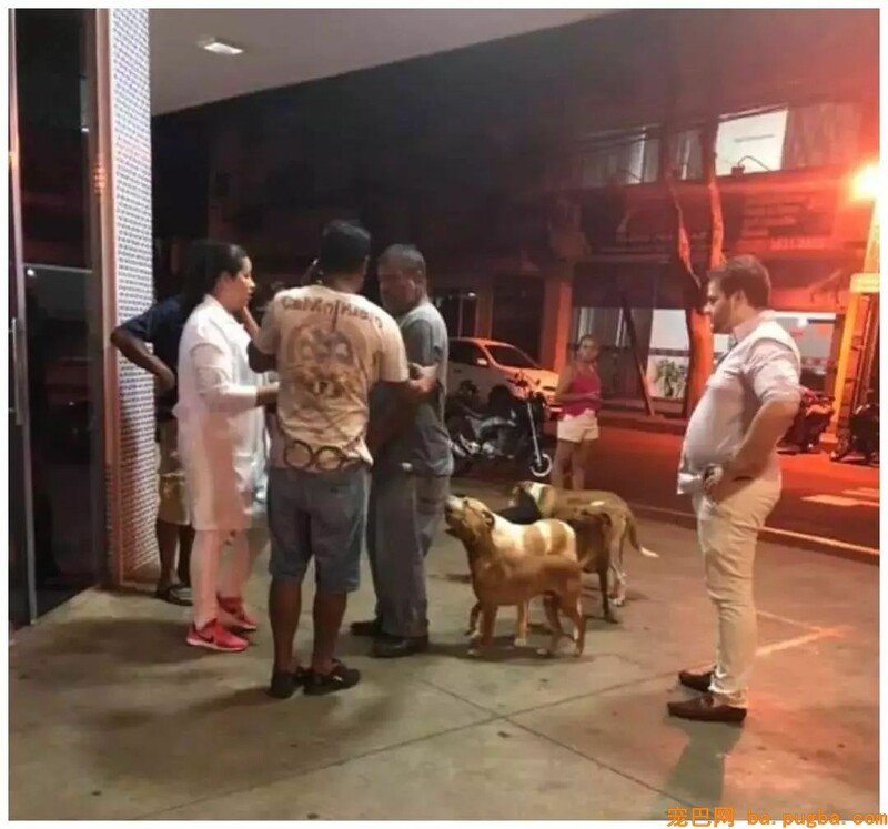 漂泊汗生病入院，六只漂泊狗紧紧跟随，守护病院十天不愿走！-3.jpeg