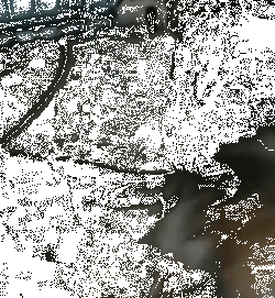 说出来你可能不信，哈士奇和二哈是两个品种！-11.gif