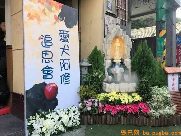 为离世的爱犬办葬礼遭反对，主人哭着说：“它是我弟弟……”-2.jpeg
