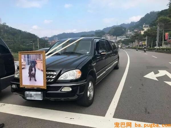 为离世的爱犬办葬礼遭反对，主人哭着说：“它是我弟弟……”-4.jpeg