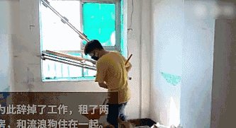 十八岁的小伙子，辞去高薪工作，全职救狗！-2.gif