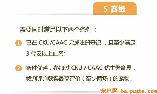 高不成攀的赛级犬，可能就在你隔壁……-3.jpeg