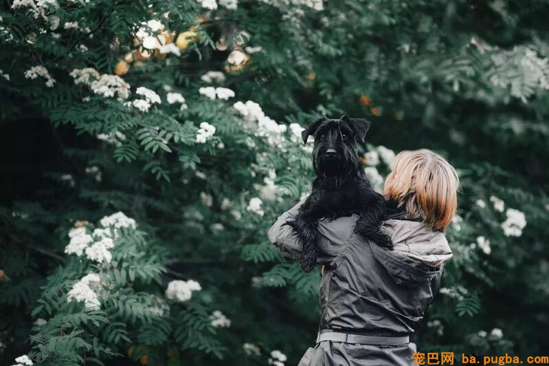 高不成攀的赛级犬，可能就在你隔壁……-8.jpeg