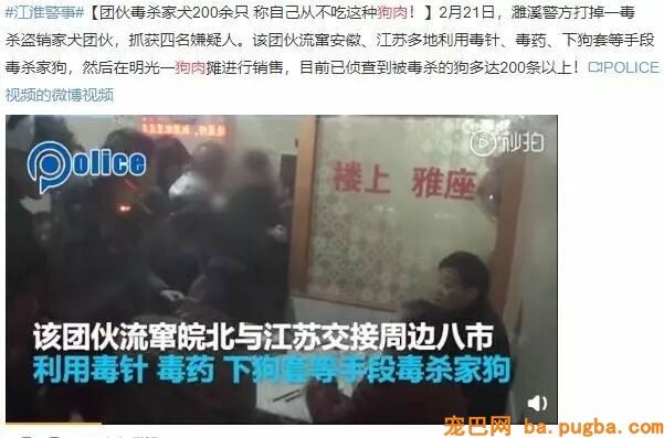 亲眼看到同伴被宰杀，狗狗疯狂作揖：求你放过它…-13.jpeg