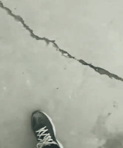 狗狗撕心裂肺的求救，你听的到吗？-8.gif