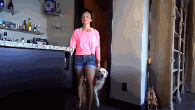 主人新交了男朋友，心机金毛竟形影不离，新男友的表情快哭了……-5.gif