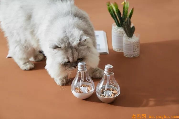 主人新交了男朋友，心机金毛竟形影不离，新男友的表情快哭了……-22.jpeg