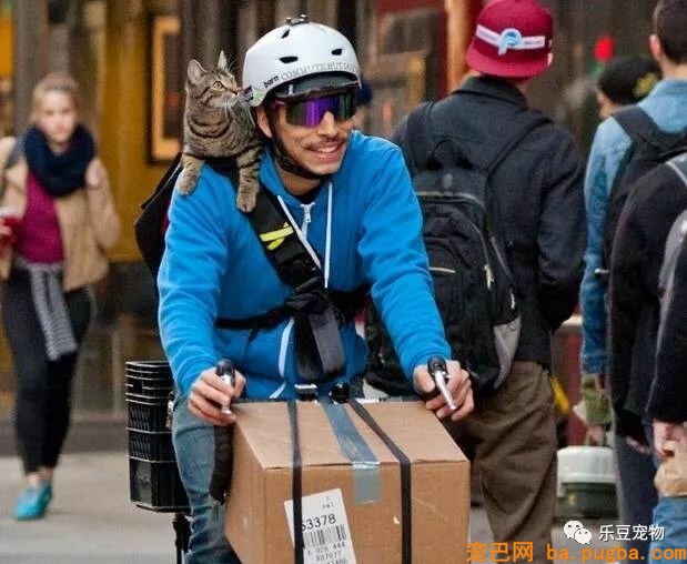 身为孤儿的快递小哥爱猫如命，你若不离不弃，我便长生相随！-2.jpeg