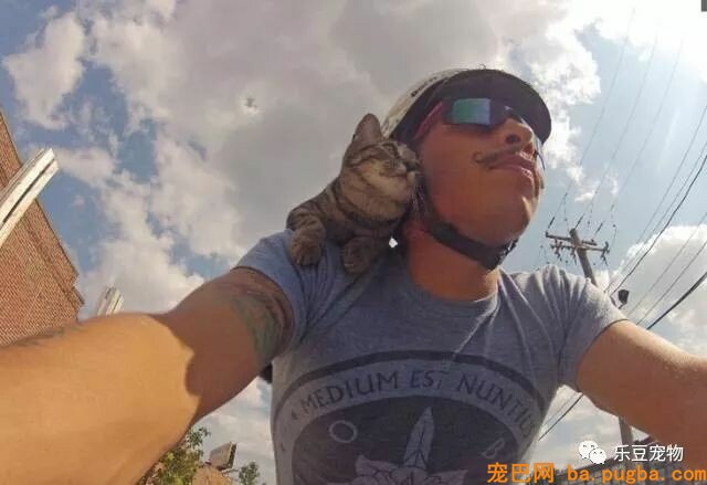 身为孤儿的快递小哥爱猫如命，你若不离不弃，我便长生相随！-6.jpeg