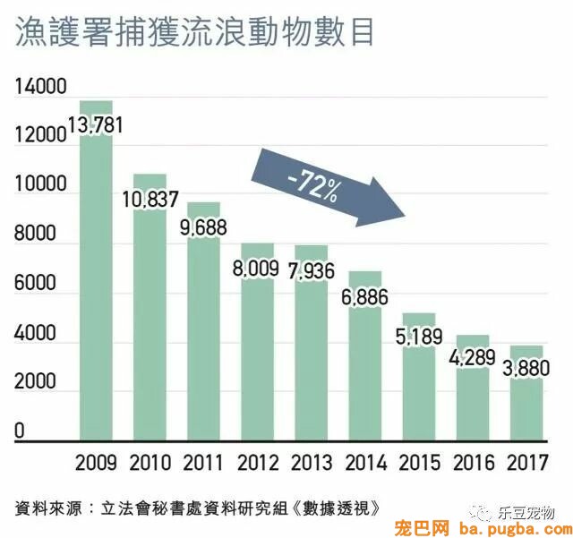 她十年间替几百个扔狗人承担了后果，女子：救命的路停不了……-4.jpeg