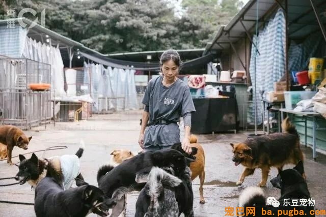 她十年间替几百个扔狗人承担了后果，女子：救命的路停不了……-9.jpeg