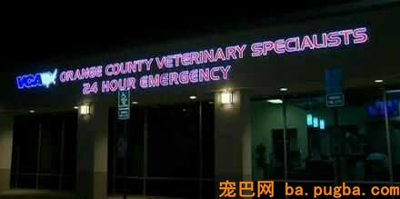 医生第一次见被卡在轮胎里的狗狗，看清它的品种后，笑喷了！-3.jpeg
