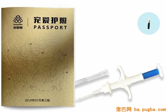 走失10年的狗,几乎被断定死亡，如今再次呈现，只因为……-7.jpeg