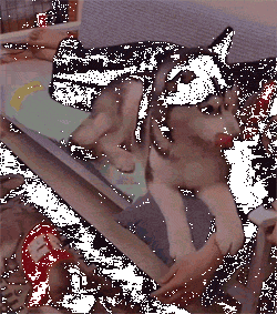 当二哈看到主人和二哈宝宝睡在一起后，这个举动也是笑喷了！-2.gif