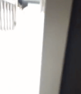 贱兮兮的德牧跑到了乌龟洞里玩，成果被人家堵住门出不来了...-13.gif