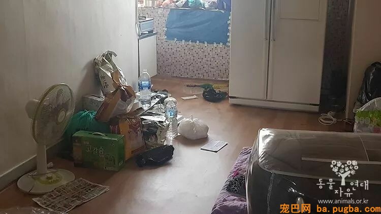 被主人关在屋内三个月，饥饿时只能吃木头，但毕竟还是没有……-4.jpeg