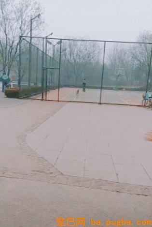 一群小奶狗蠢萌到犯规，饭就在眼前却只能干焦急！-1.gif