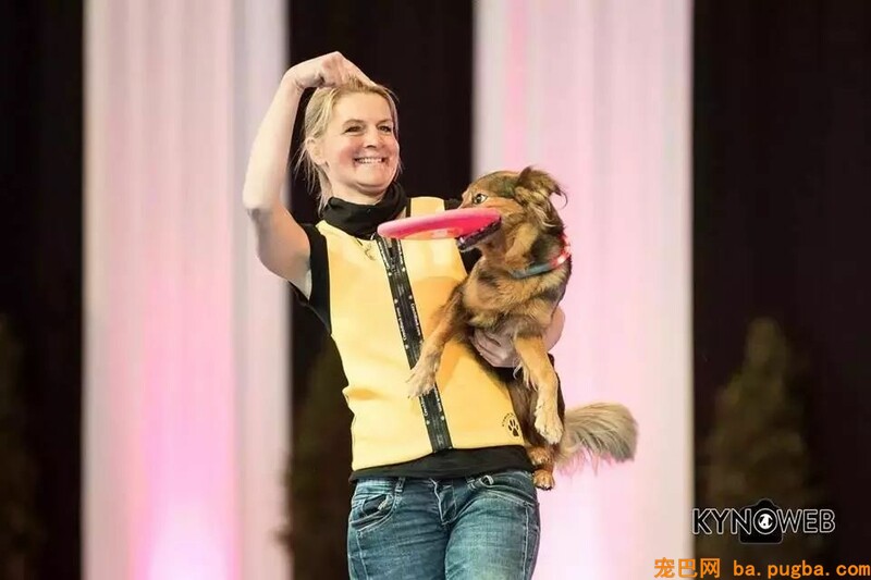 五一快到了，跟我去上海世界杯犬展撸狗吗？-1.jpeg
