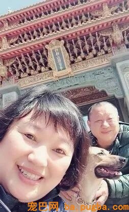 让爸爸辅佐赐顾帮衬几天狗，成果从不发消息的他初步狂轰乱炸...-6.jpeg