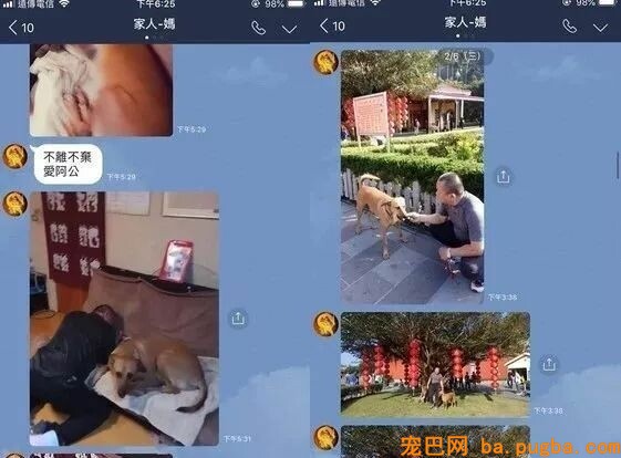 让爸爸辅佐赐顾帮衬几天狗，成果从不发消息的他初步狂轰乱炸...-3.jpeg