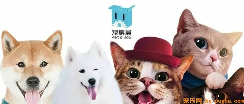 赋能 | 一入狗圈深似海, 繁衍者真心不容易！-3.jpeg