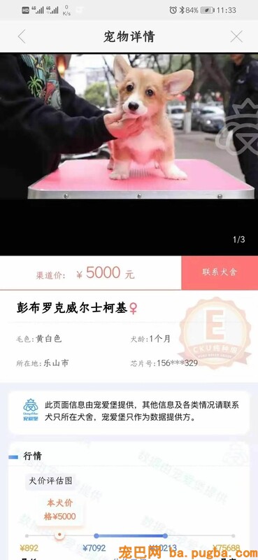 赋能 | 一入狗圈深似海, 繁衍者真心不容易！-7.jpeg