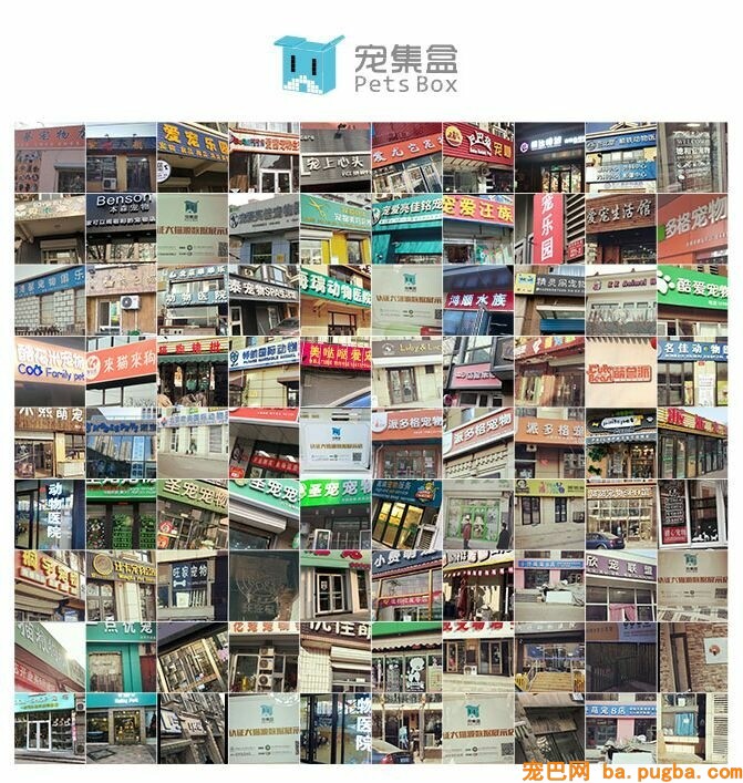 赋能 | 一入狗圈深似海, 繁衍者真心不容易！-10.jpeg