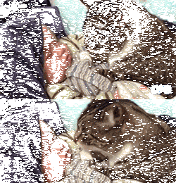 铲屎官喜得宝宝，猫咪却当本人生的，不竭看护并吞着！-3.gif