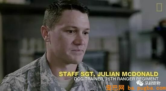 军犬庇护战友身中数枪，即将安乐死时，他赶了回来！-8.jpeg