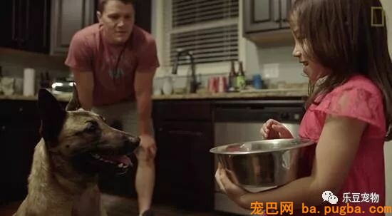 军犬庇护战友身中数枪，即将安乐死时，他赶了回来！-10.jpeg