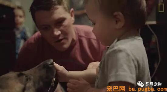 军犬庇护战友身中数枪，即将安乐死时，他赶了回来！-11.jpeg