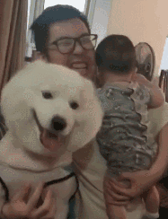 狗子嫉妒心能有多强？-12.gif