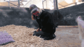 狗子嫉妒心能有多强？-17.gif