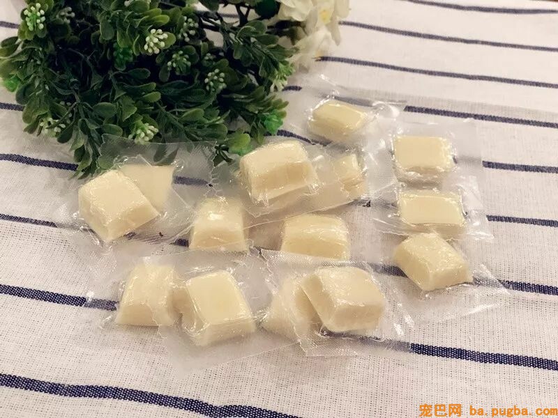 这两只狗狗每天吃奶酪胖成了猪，主人被判罚两年内不许养狗-14.jpeg
