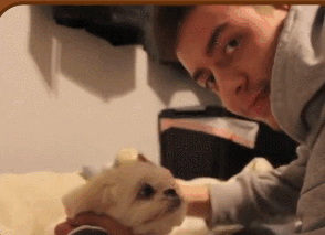 父母游览不得不留狗狗单独在家，为了让他们放心，儿子竟然……-7.gif