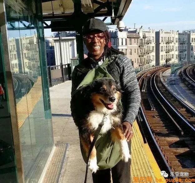 纽约地铁规定，只要把狗狗打包就可乘车，于是人们各种招数尽出…-3.jpeg