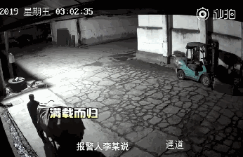 小偷上门行窃，三只看门狗竟然热情摈除？主人都看懵了...-2.gif