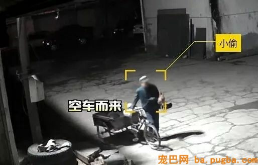 小偷上门行窃，三只看门狗竟然热情摈除？主人都看懵了...-3.jpeg
