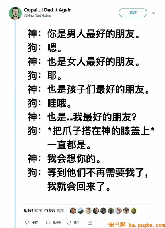 狗狗在降临人间前，神是这样吩咐它的……-1.jpeg