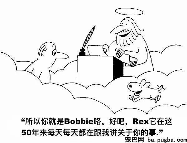 狗狗在降临人间前，神是这样吩咐它的……-14.jpeg