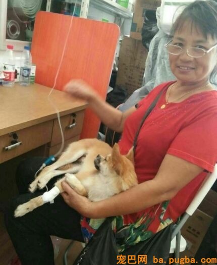 为什么要救漂泊狗呢？而不去协助山区儿童呢？她是这样说的...-2.jpeg