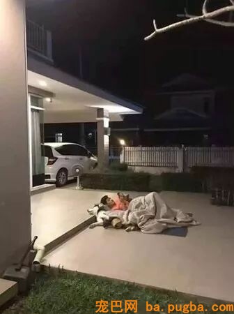 铲屎官惹怒老婆被连人带狗赶出家门，网友笑喷了：二哈做错了啥？-1.jpeg