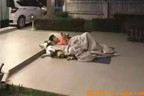 铲屎官惹怒老婆被连人带狗赶出家门，网友笑喷了：二哈做错了啥？-2.jpeg