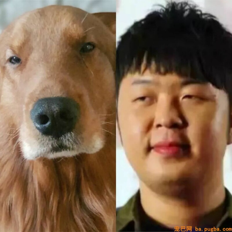 遛狗时被路人问：这狗是盲了吗？主人笑喷：我们只是眼睛小！-5.jpeg